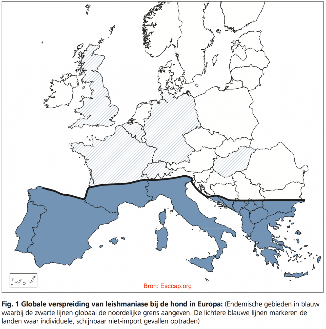 Leishmania bij de hond